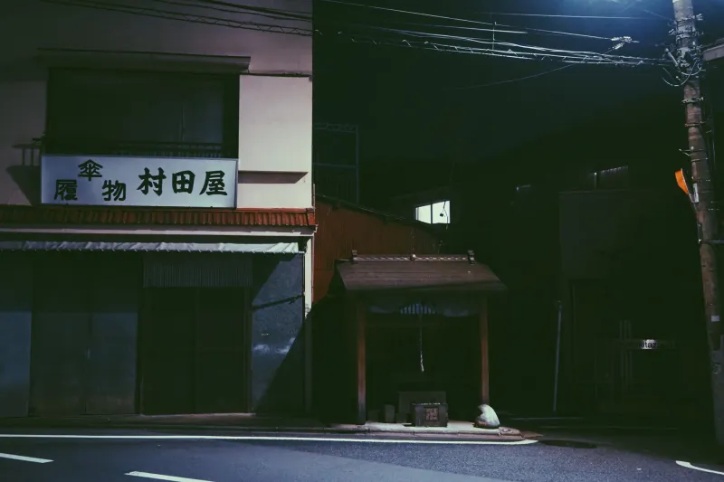 The Invisible Insurgency: How Japanese Cinema Wages War on Power Without Firing a Shot